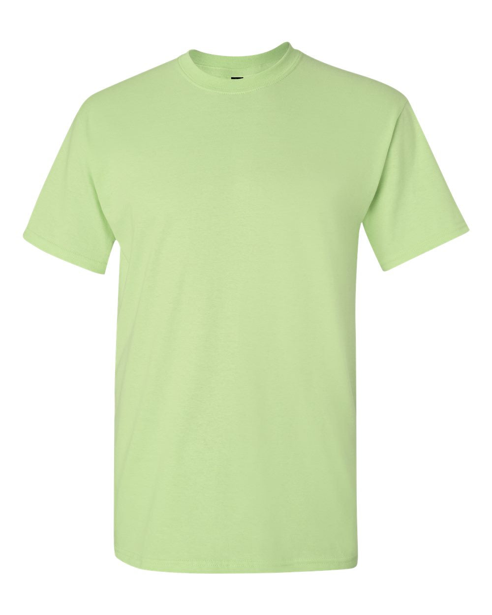 Gildan 2000 Ultra Cotton T-Shirt in Pistachio