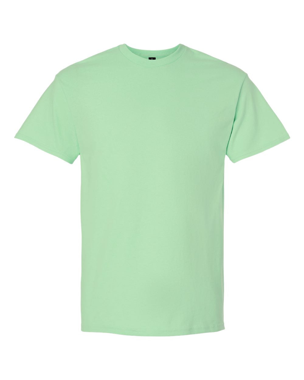 Gildan 2000 Ultra Cotton T-Shirt in Mint Green