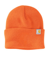 Carhartt  Watch Cap 2.0 CT104597